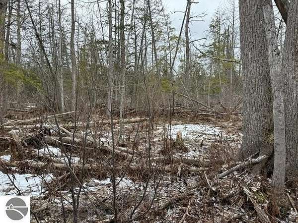 3.2 Acres of Residential Land for Sale in Honor, Michigan