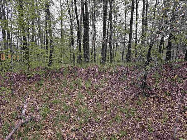 0.33 Acres of Residential Land for Sale in Hot Springs, Arkansas