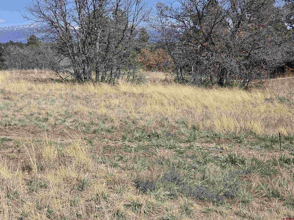 0.23 Acres of Residential Land for Sale in Pagosa Springs, Colorado