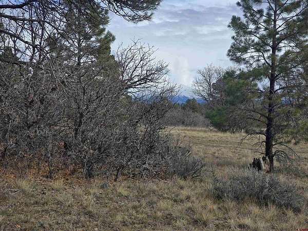 0.23 Acres of Residential Land for Sale in Pagosa Springs, Colorado