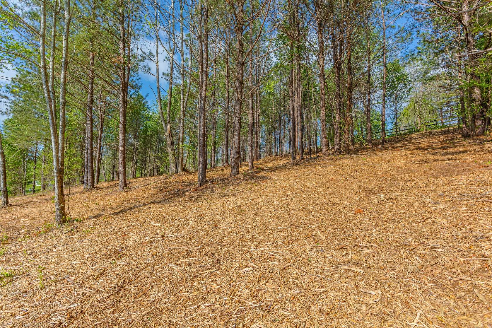 1.12 Acres of Residential Land for Sale in Flintstone, Georgia