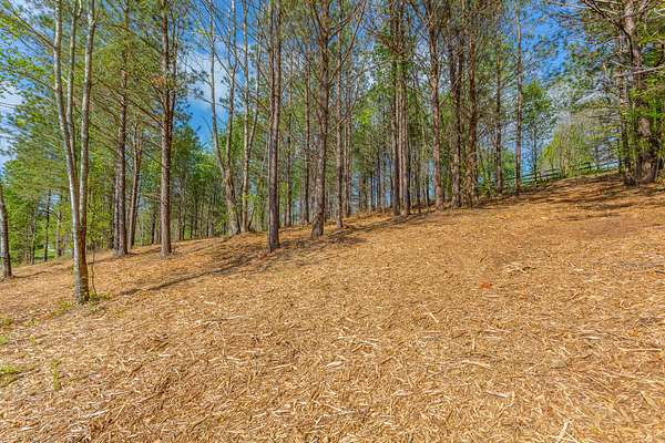 1.12 Acres of Residential Land for Sale in Flintstone, Georgia