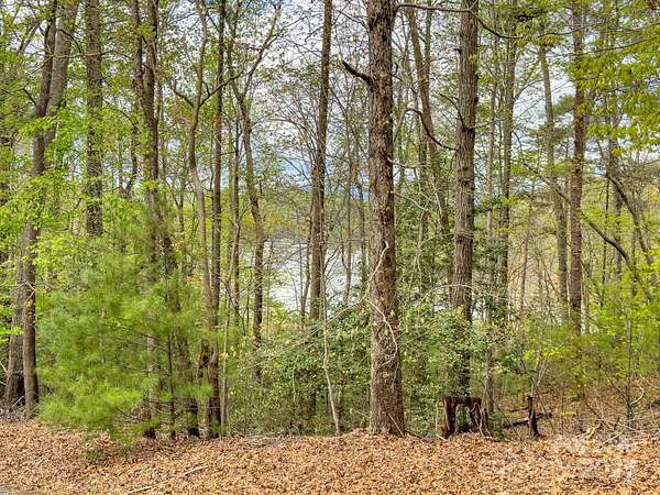 0.5 Acres of Residential Land for Sale in Nebo, North Carolina