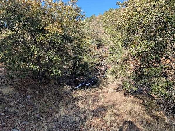 15.3 Acres of Land for Sale in Fort Davis, Texas
