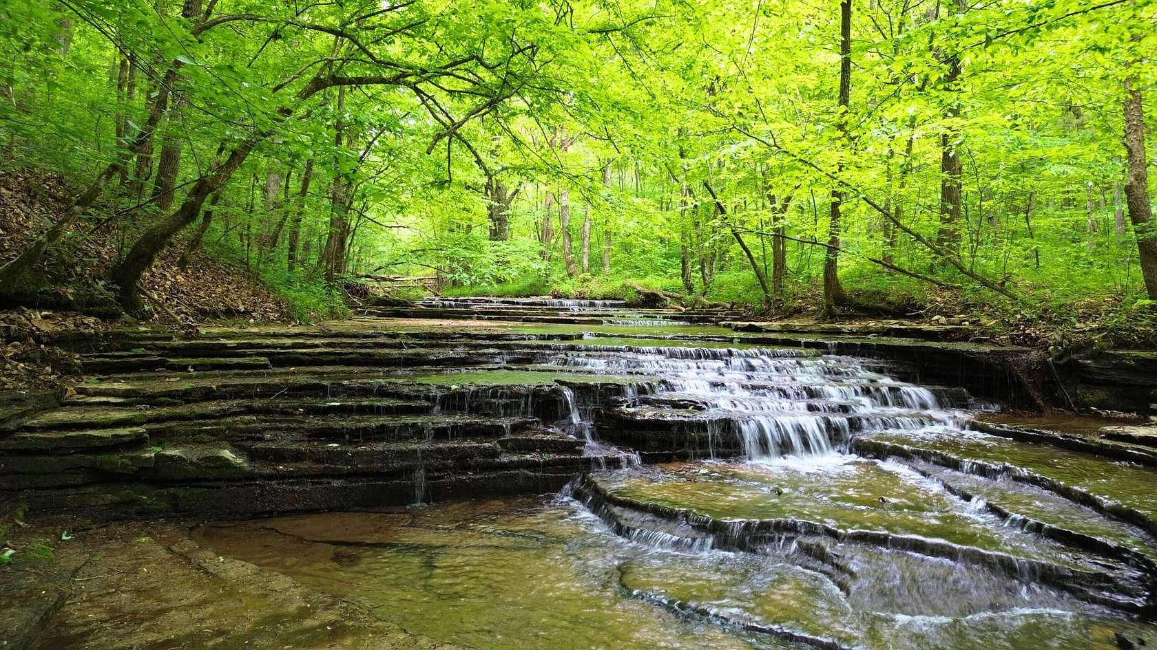 63.7 Acres of Recreational Land for Sale in Charlotte, Tennessee