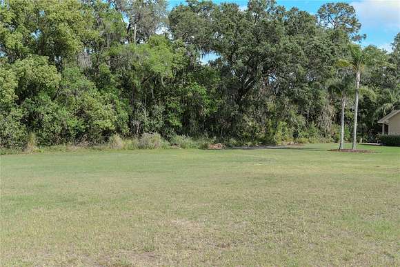 0.23 Acres of Residential Land for Sale in Lakeland, Florida