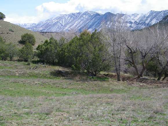 2 Acres of Residential Land for Sale in New Castle, Colorado