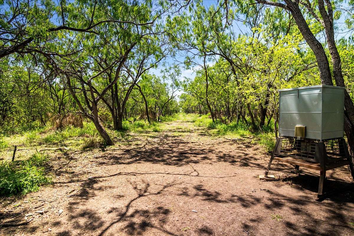 12 Acres of Land for Sale in Sandia, Texas