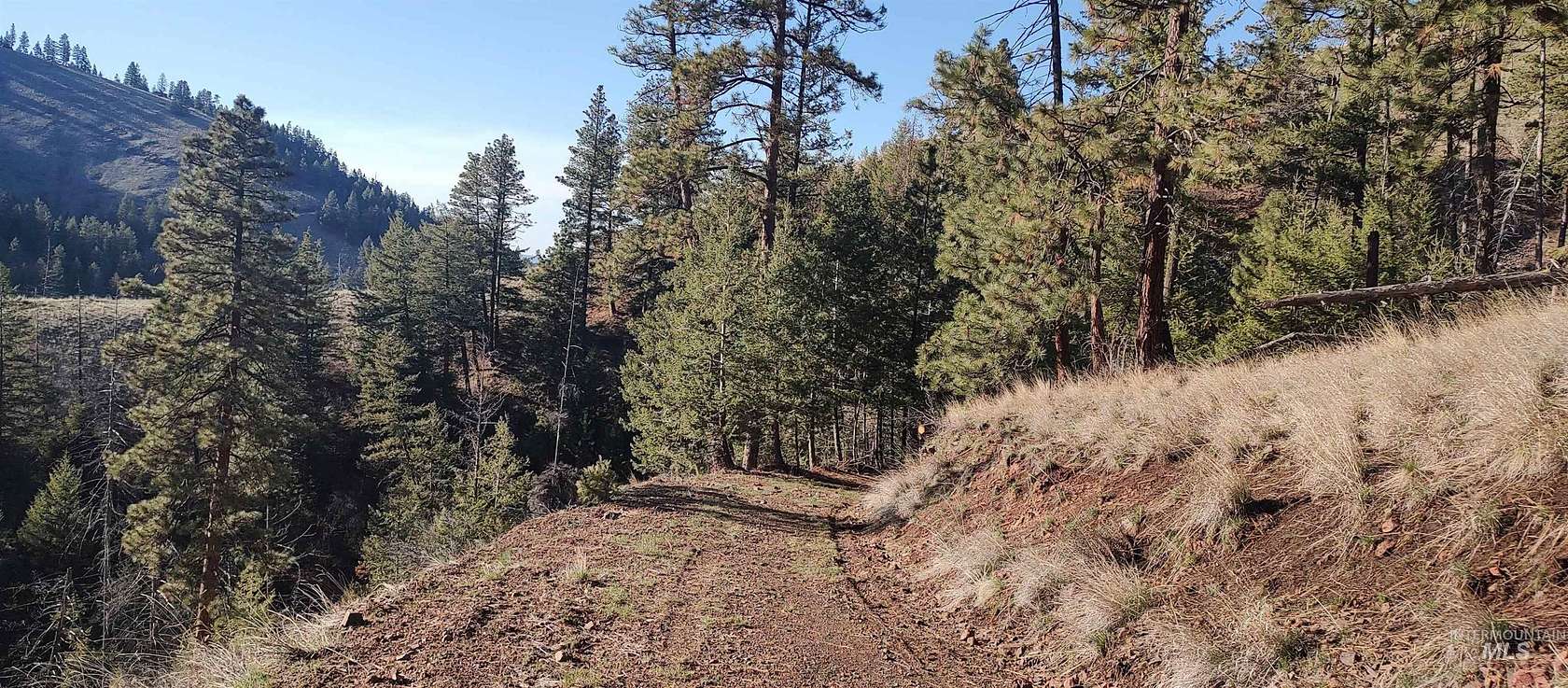 11.4 Acres of Land for Sale in Lewiston, Idaho