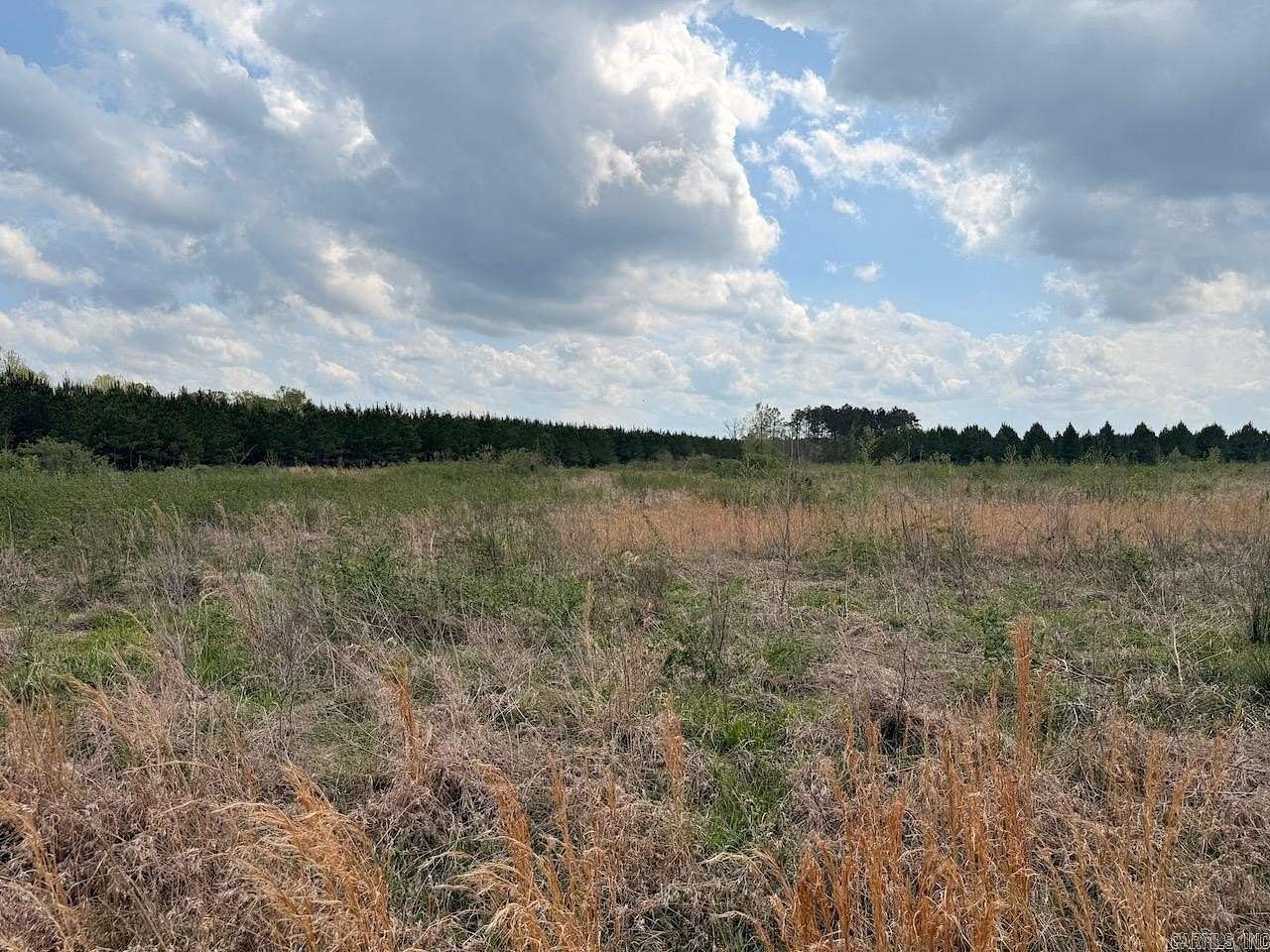 6.75 Acres of Residential Land for Sale in Monticello, Arkansas