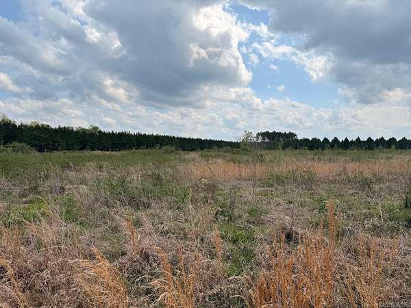 6.75 Acres of Residential Land for Sale in Monticello, Arkansas