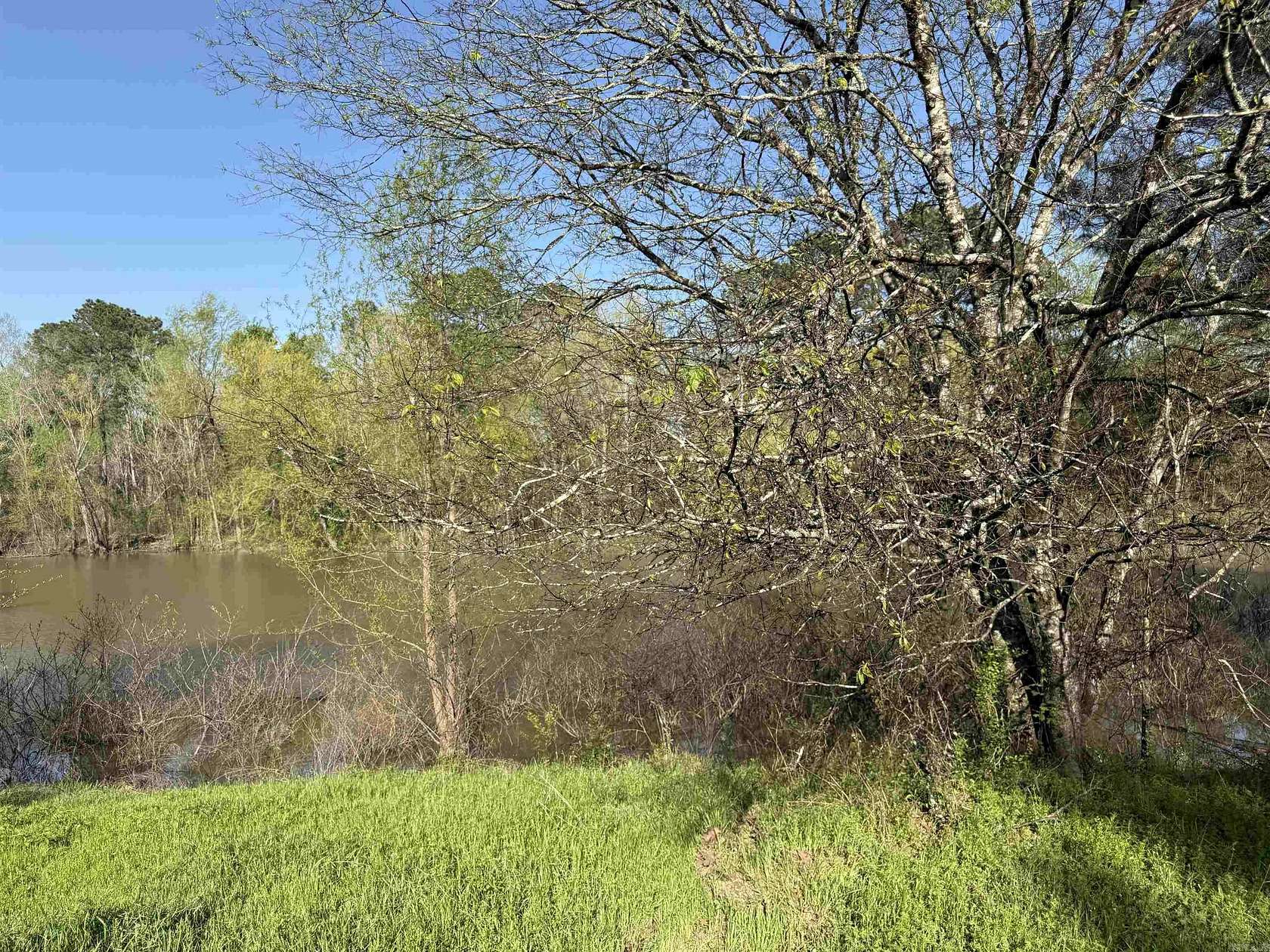 12 Acres of Land for Sale in Malvern, Arkansas