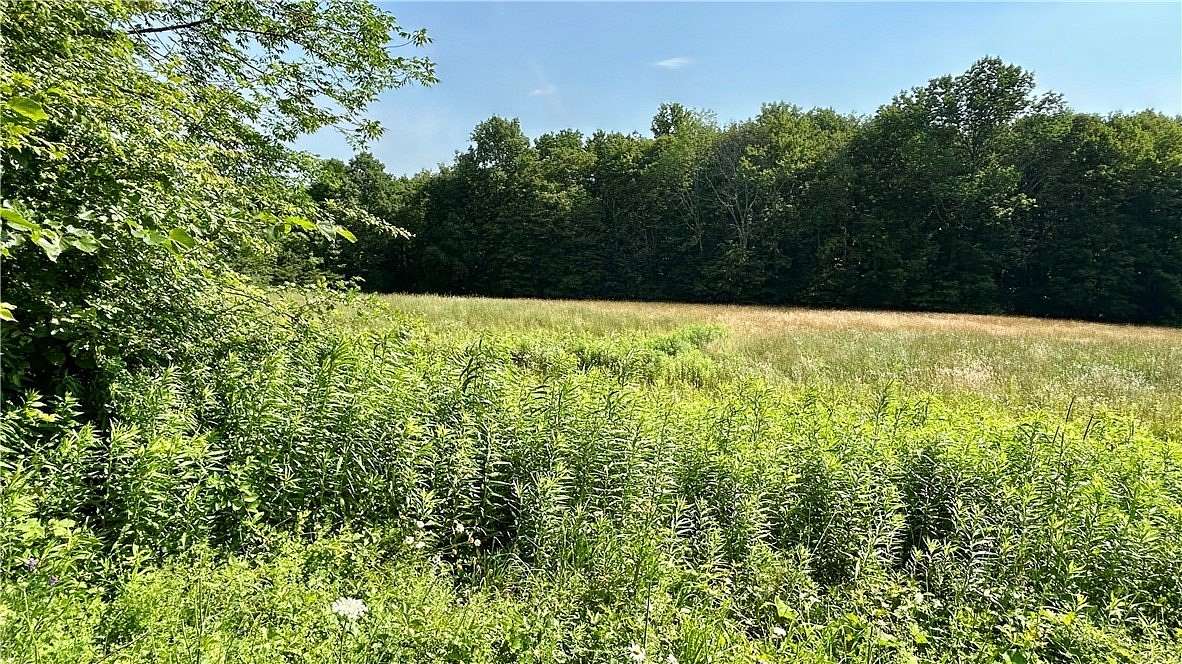 8 Acres of Residential Land for Sale in Delhi, New York