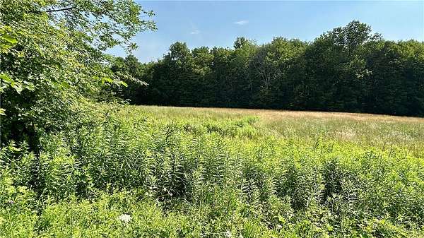 8 Acres of Residential Land for Sale in Delhi, New York
