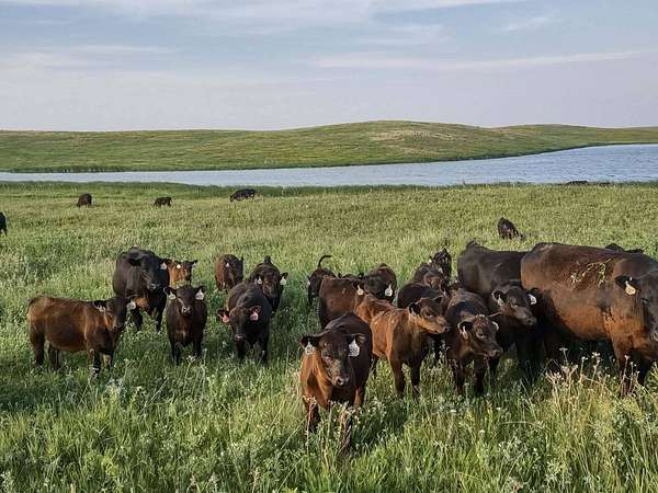 1,880 Acres of Land with Home for Sale in Cleveland, North Dakota