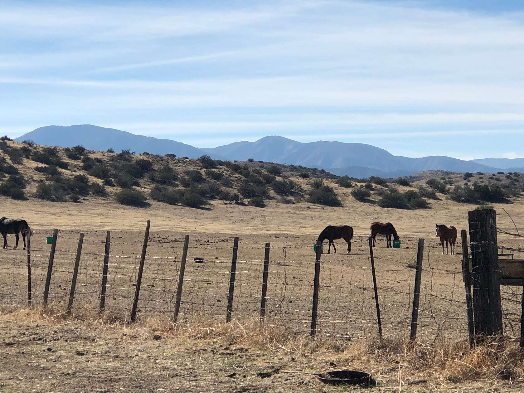 360 Acres of Agricultural Land for Lease in Cuyama, California