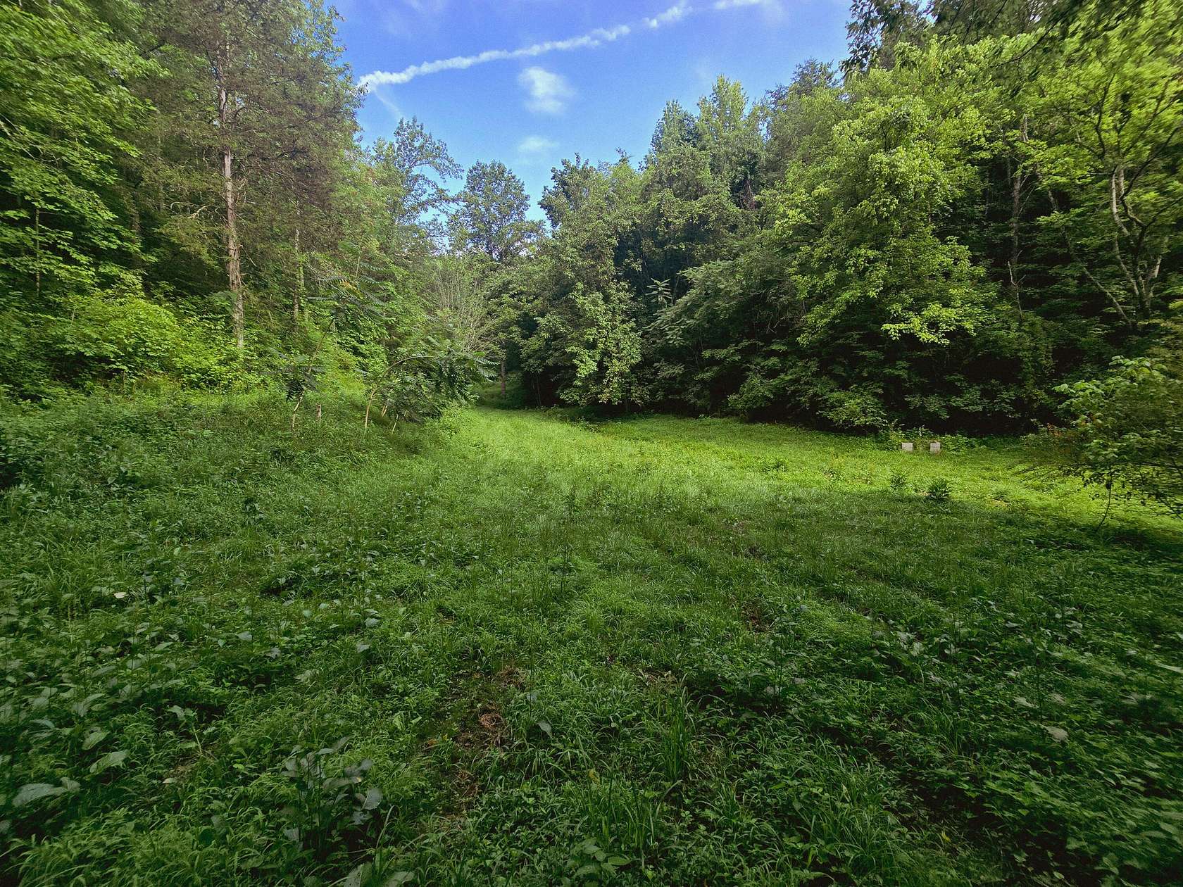 50.5 Acres of Recreational Land for Sale in Newport, Tennessee