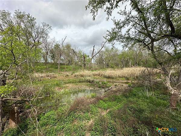 19.5 Acres of Land for Sale in Marlin, Texas
