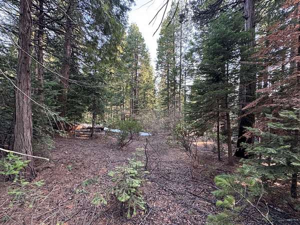 0.58 Acres of Residential Land for Sale in Shaver Lake, California