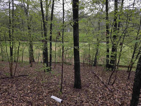 0.31 Acres of Land for Sale in Hot Springs, Arkansas
