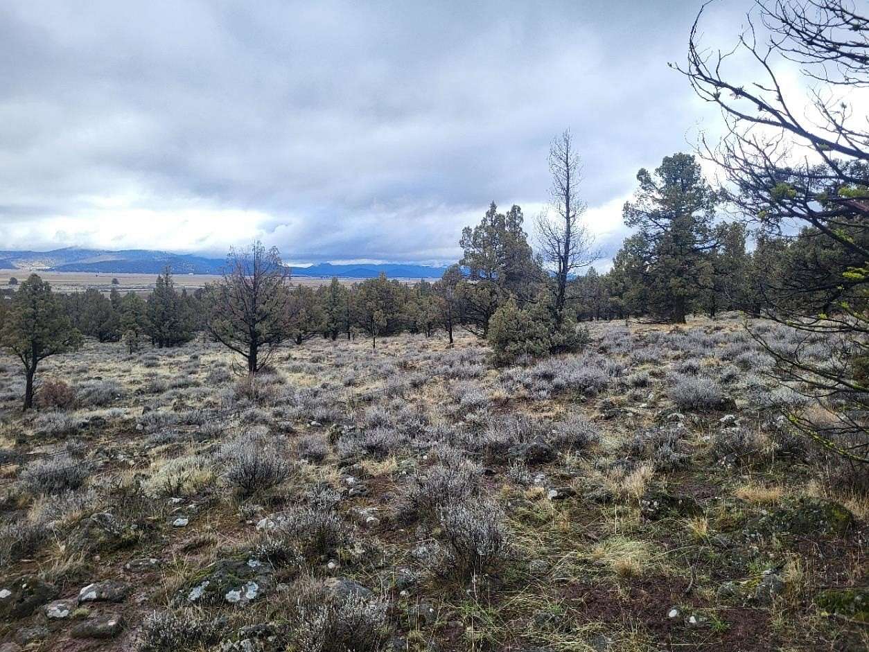 2.6 Acres of Residential Land for Sale in Dorris, California