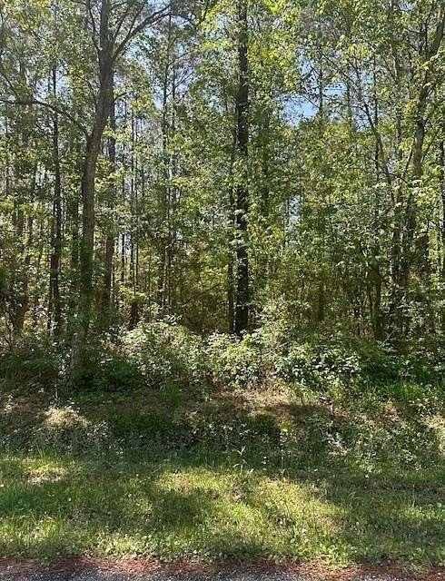 0.11 Acres of Residential Land for Sale in Bay St. Louis, Mississippi