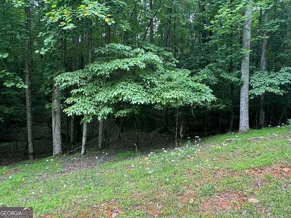 0.57 Acres of Residential Land for Sale in Ellijay, Georgia