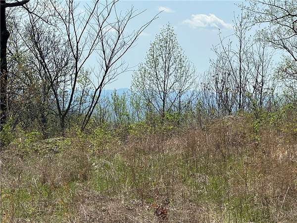 3.75 Acres of Residential Land for Sale in Landrum, South Carolina