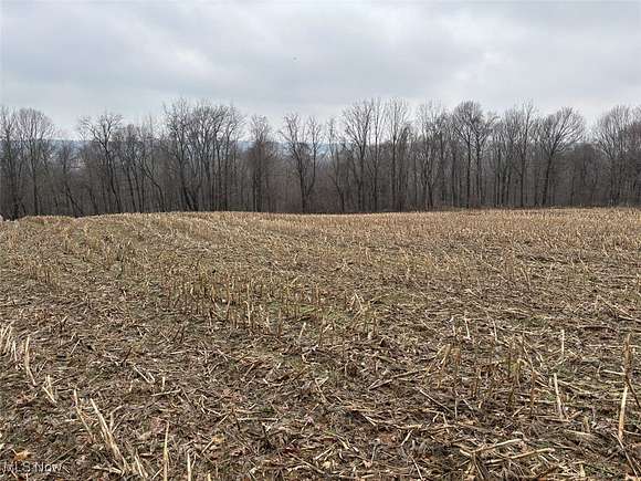 12.7 Acres of Land for Sale in Navarre, Ohio
