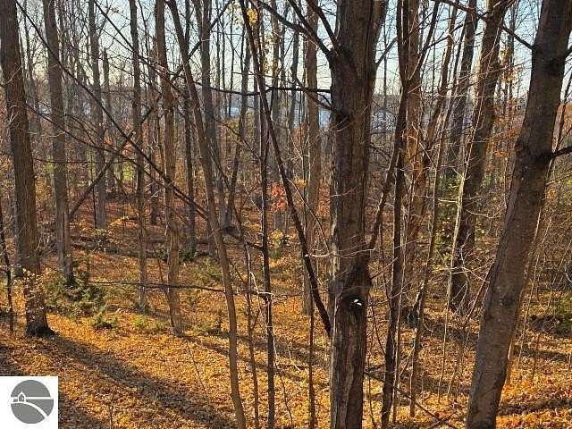 0.75 Acres of Residential Land for Sale in Bellaire, Michigan