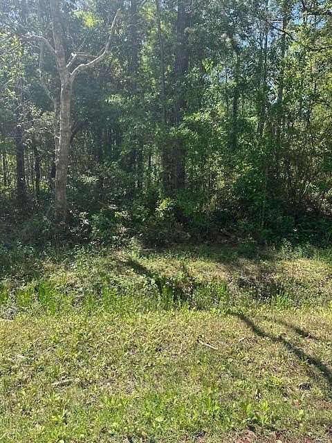 0.11 Acres of Residential Land for Sale in Bay St. Louis, Mississippi