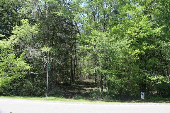 19 Acres of Land for Sale in Hayneville, Alabama