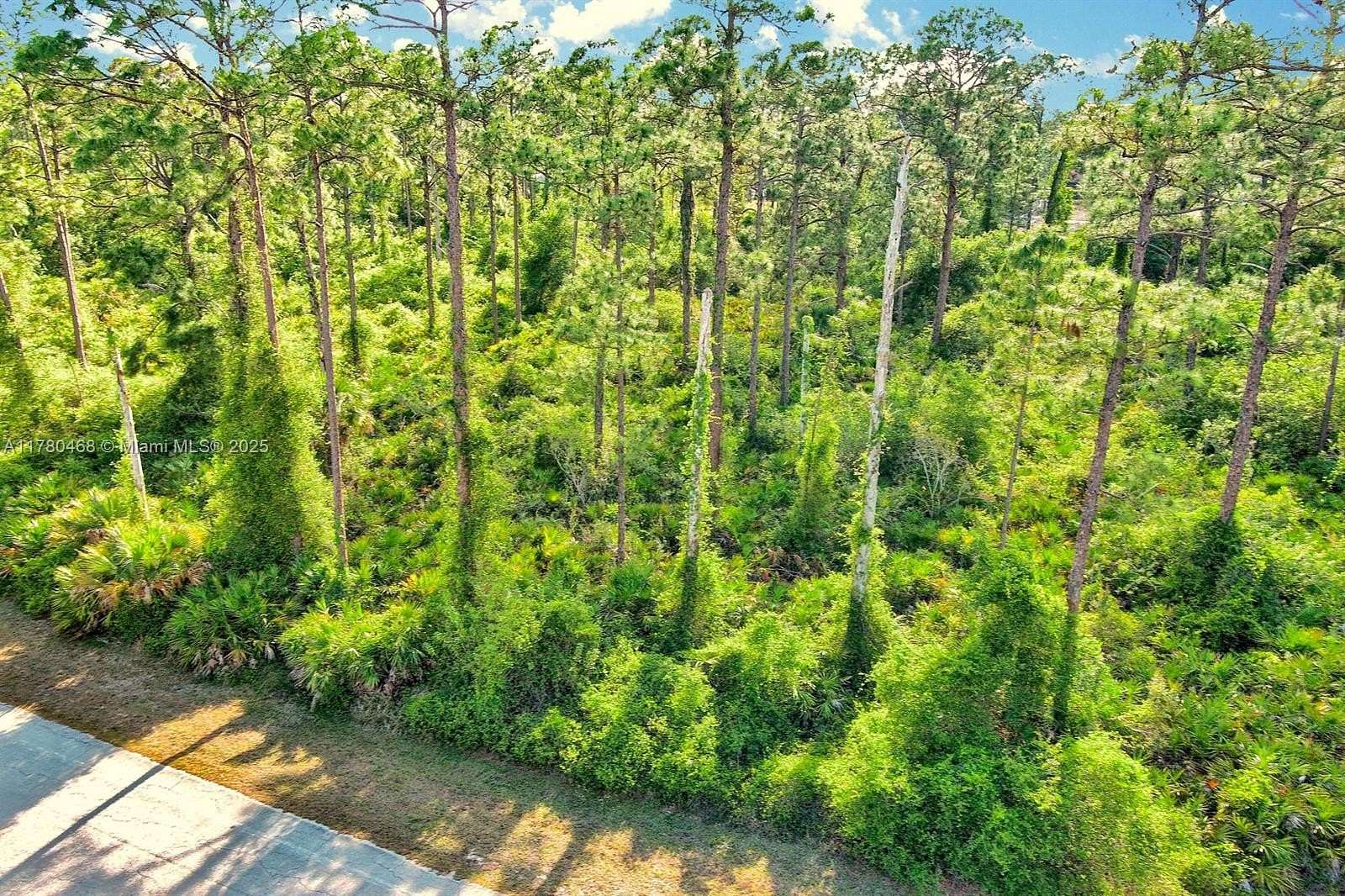 0.5 Acres of Residential Land for Sale in Lehigh Acres, Florida