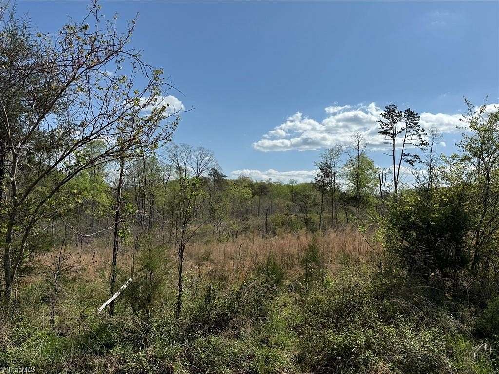 26.1 Acres of Land for Sale in Yadkinville, North Carolina