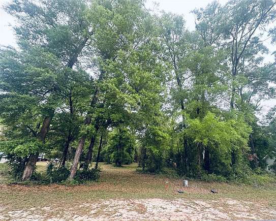 0.33 Acres of Residential Land for Sale in Fanning Springs, Florida