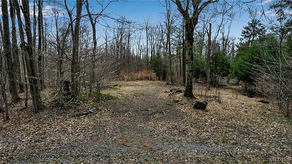 3.53 Acres of Agricultural Land for Sale in Orangeville Town, New York