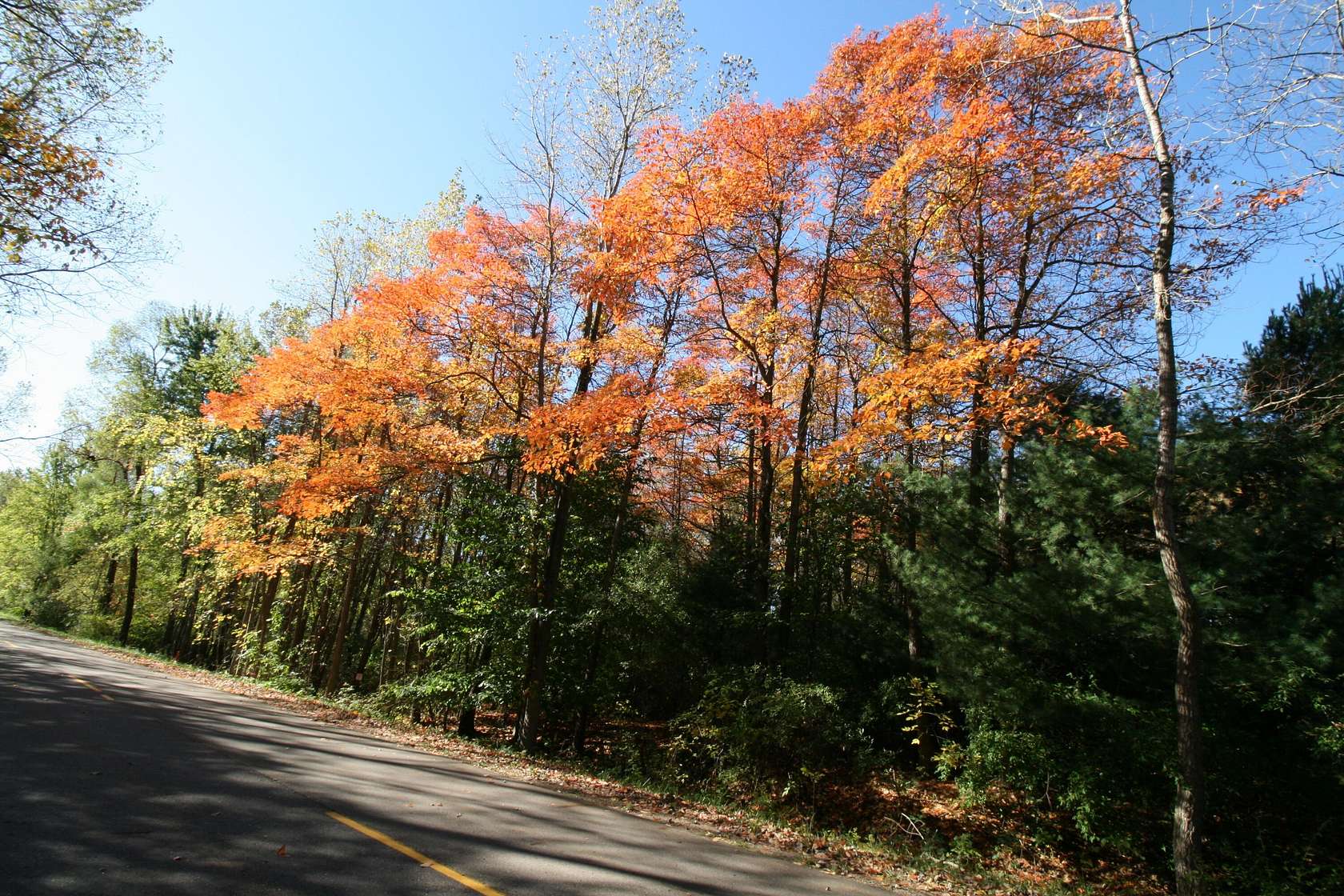 4 Acres of Land for Sale in South Haven, Michigan