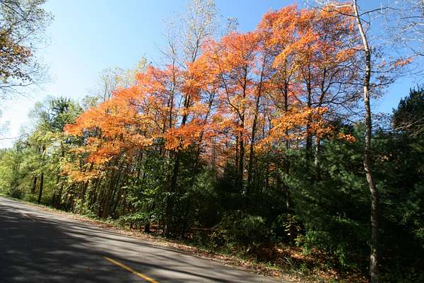 4 Acres of Land for Sale in South Haven, Michigan