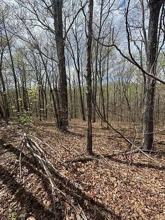 Residential Land for Sale in Smithville, Tennessee