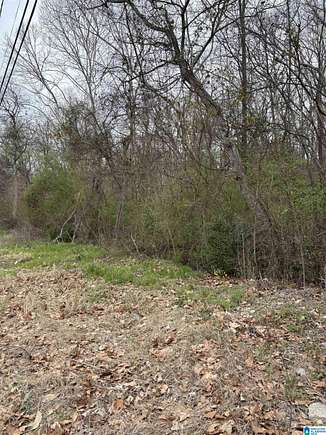 1.88 Acres of Mixed-Use Land for Sale in Dolomite, Alabama