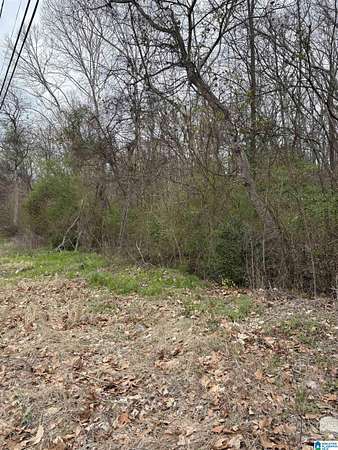 1.88 Acres of Mixed-Use Land for Sale in Dolomite, Alabama
