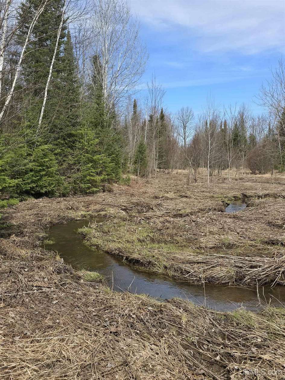 39.4 Acres of Recreational Land for Sale in Ontonagon, Michigan