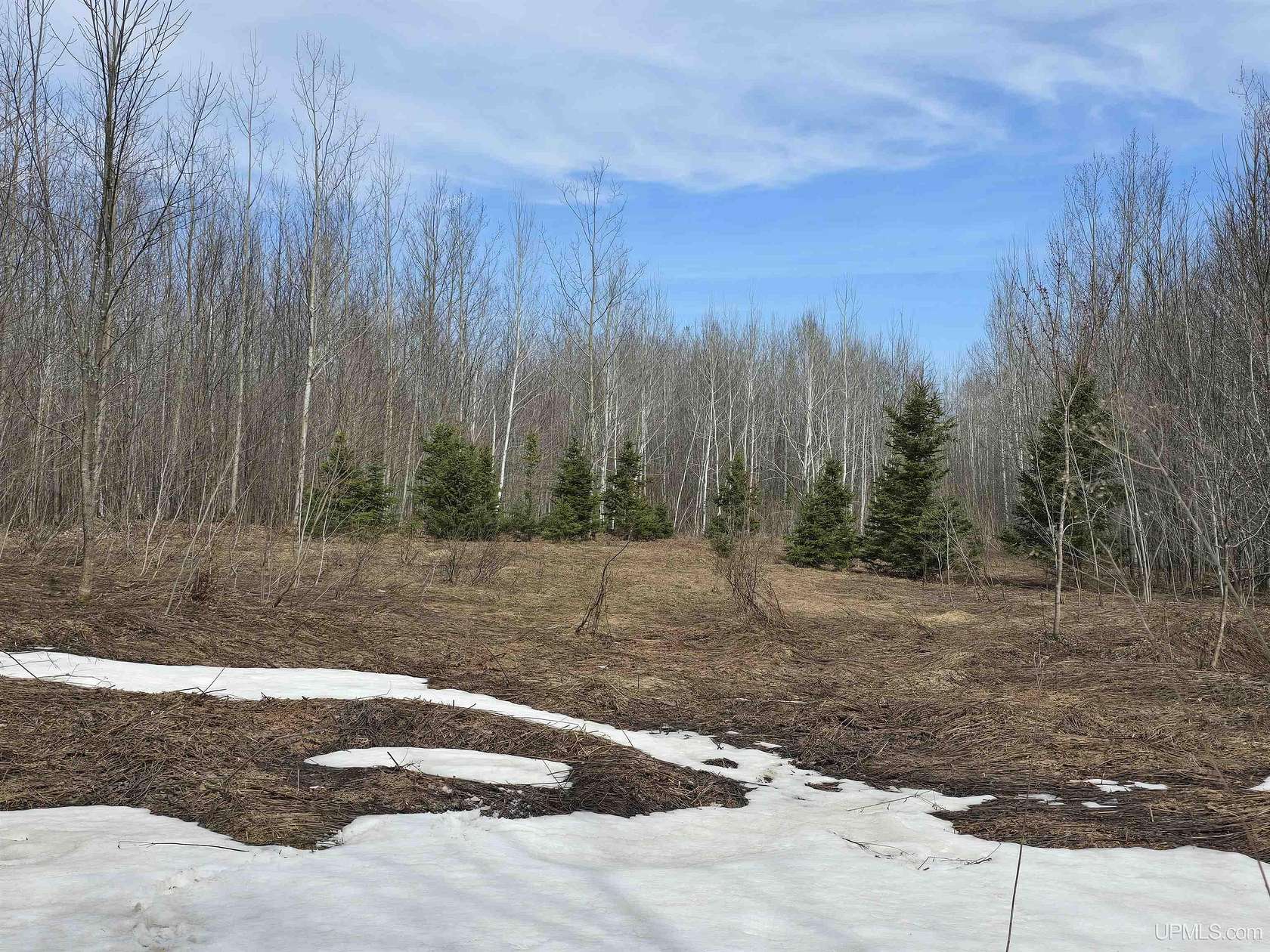 39.4 Acres of Recreational Land for Sale in Ontonagon, Michigan