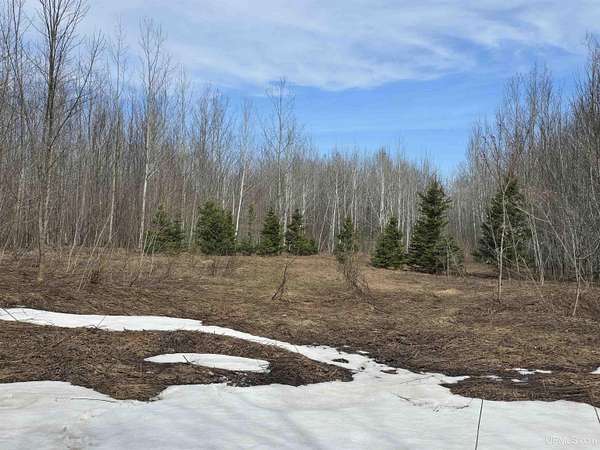 39.4 Acres of Recreational Land for Sale in Ontonagon, Michigan