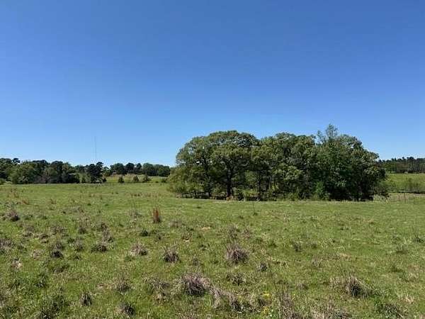 2 Acres of Land for Sale in Gilmer, Texas