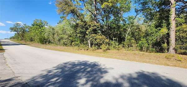 1 Acre of Residential Land for Sale in Dunnellon, Florida
