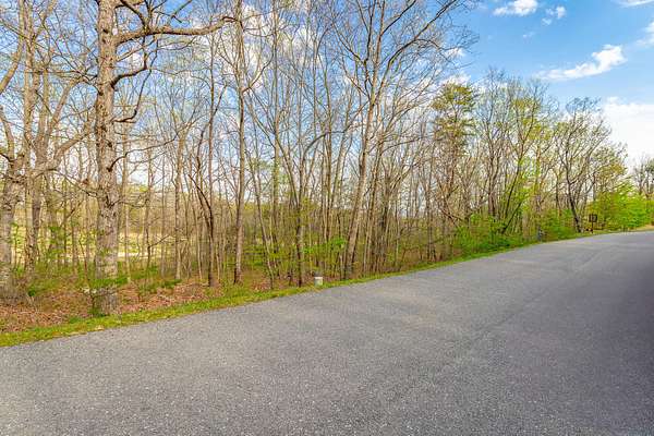 0.23 Acres of Residential Land for Sale in Rising Fawn, Georgia