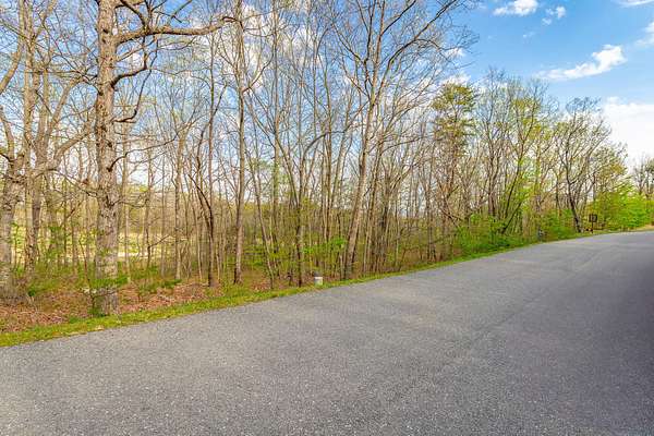 0.23 Acres of Residential Land for Sale in Rising Fawn, Georgia