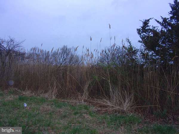 0.43 Acres of Land for Sale in Fortescue, New Jersey