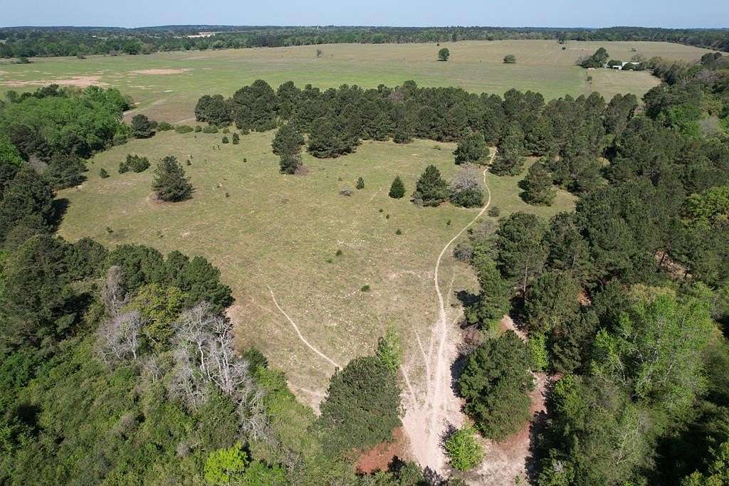 146 Acres of Land for Sale in Grapeland, Texas